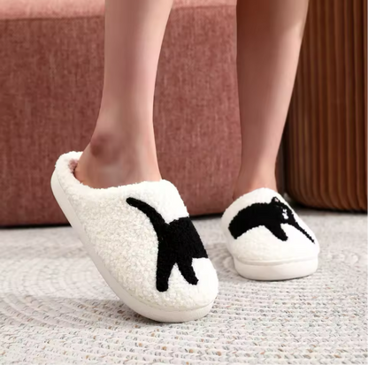 Black CatSlides™